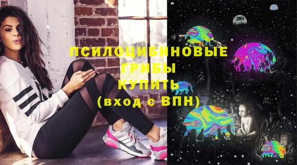 ГАЛЛЮЦИНОГЕННЫЕ ГРИБЫ Алексин