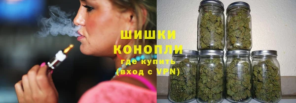 ГАЛЛЮЦИНОГЕННЫЕ ГРИБЫ Алексин