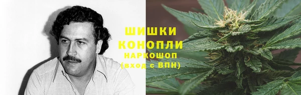 ГАЛЛЮЦИНОГЕННЫЕ ГРИБЫ Алексин