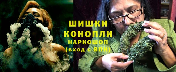 ГАЛЛЮЦИНОГЕННЫЕ ГРИБЫ Алексин