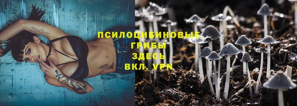 ГАЛЛЮЦИНОГЕННЫЕ ГРИБЫ Алексин