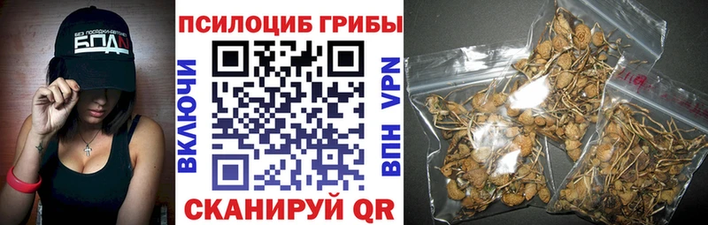 Галлюциногенные грибы GOLDEN TEACHER  Уяр 